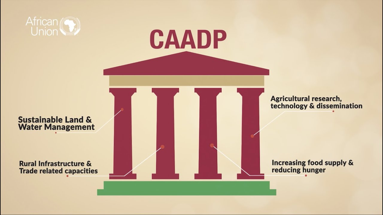 The Comprehensive African Agricultural Development Programme