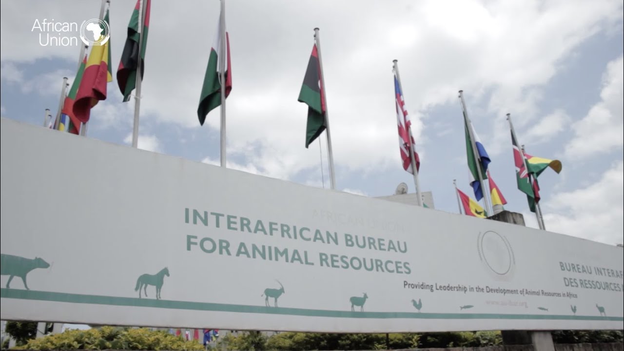 AU–IBAR coordinating utilisation of animal resources for development