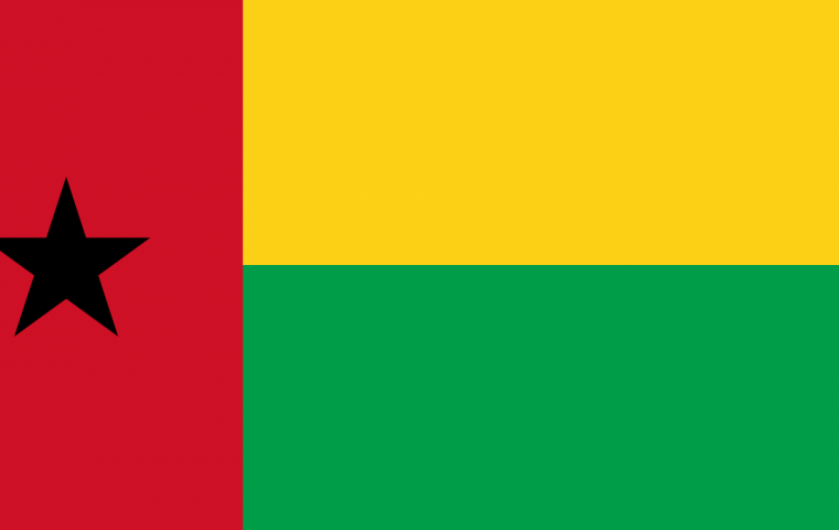 AUEOM Preliminary Findings of the 2019 Election Second Round in Guinea Bissau