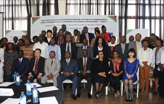 “Bringing African Voices to the 2016 TICAD VI”