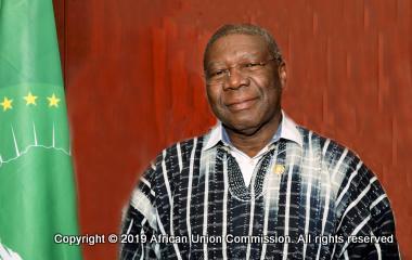 African Union Calls for Closer Cooperation with the United Nations System to Achieve Agenda 2063 and the 2030 Agenda
