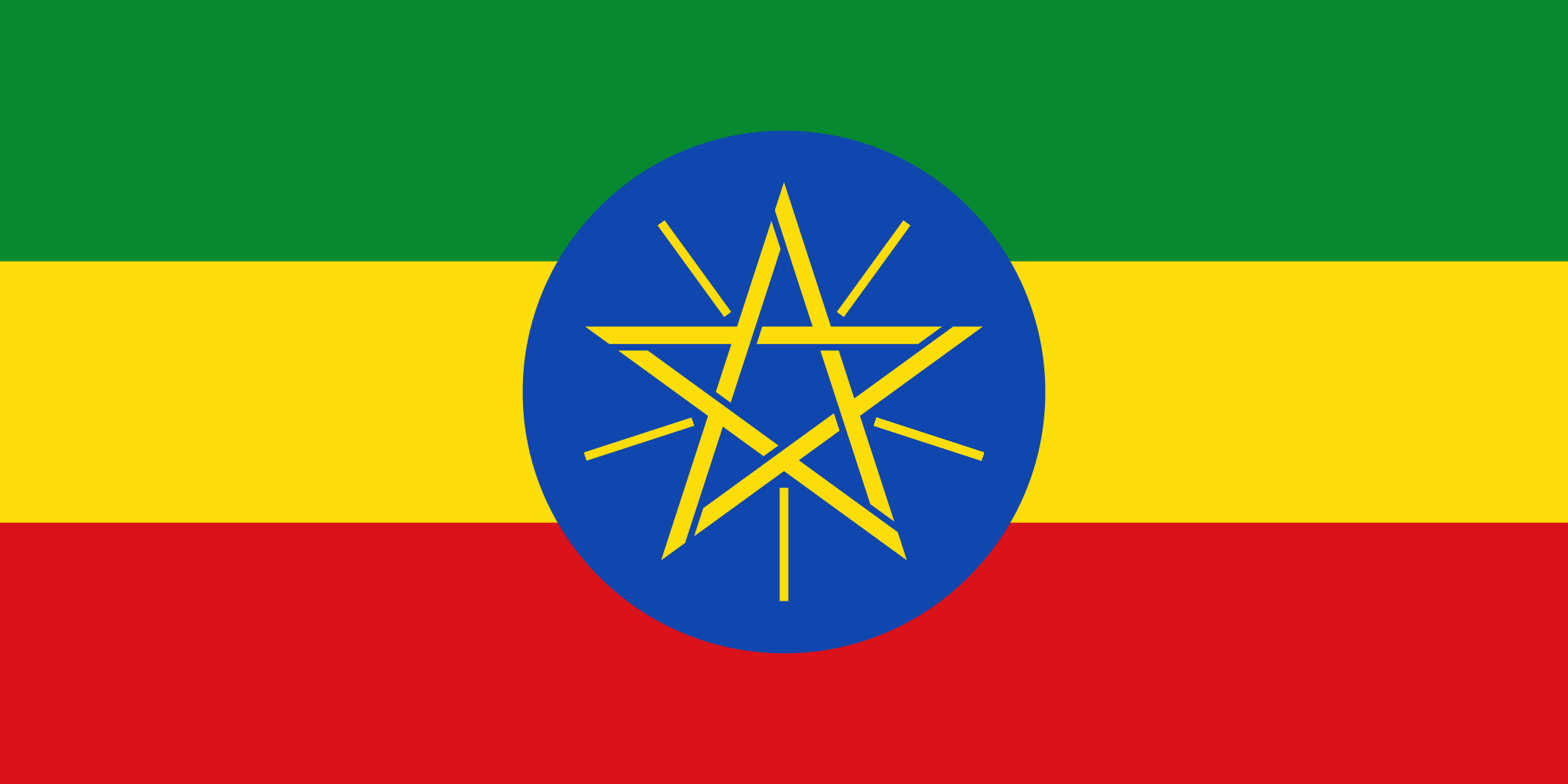 Deployment of African Union Long-Term Observers to the General Elections in Ethiopia