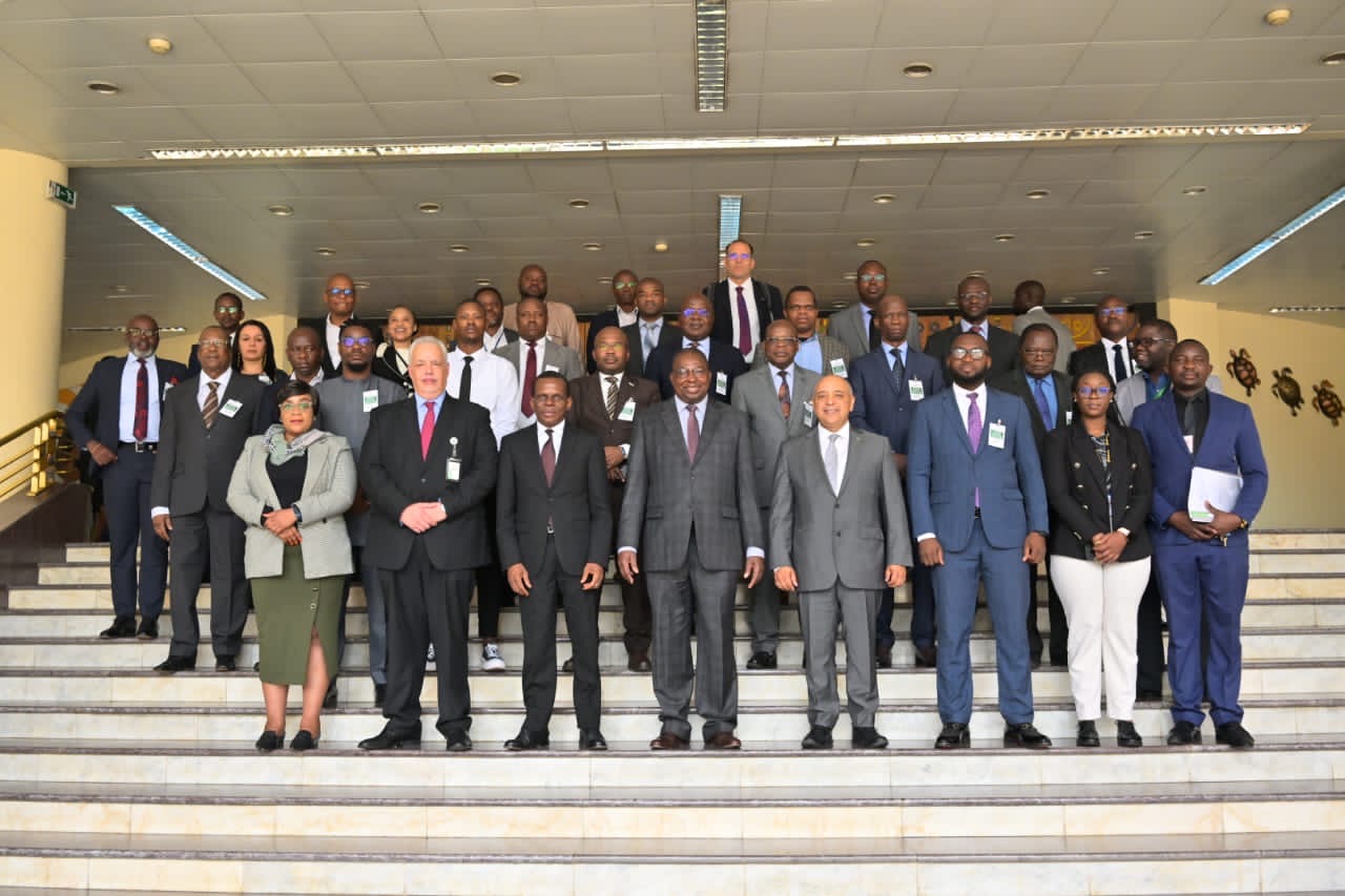 Africa moves to protect its interests in the global tax rules to increase revenues and stem illicit financial flows.