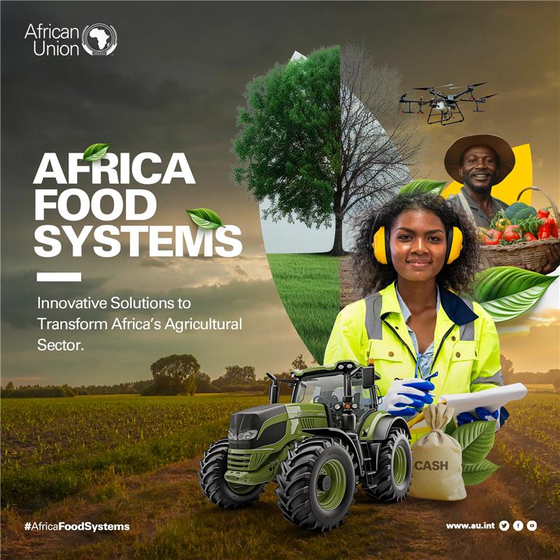 The nexus between food security, peace and stability calls for a holistic approach in policy design.