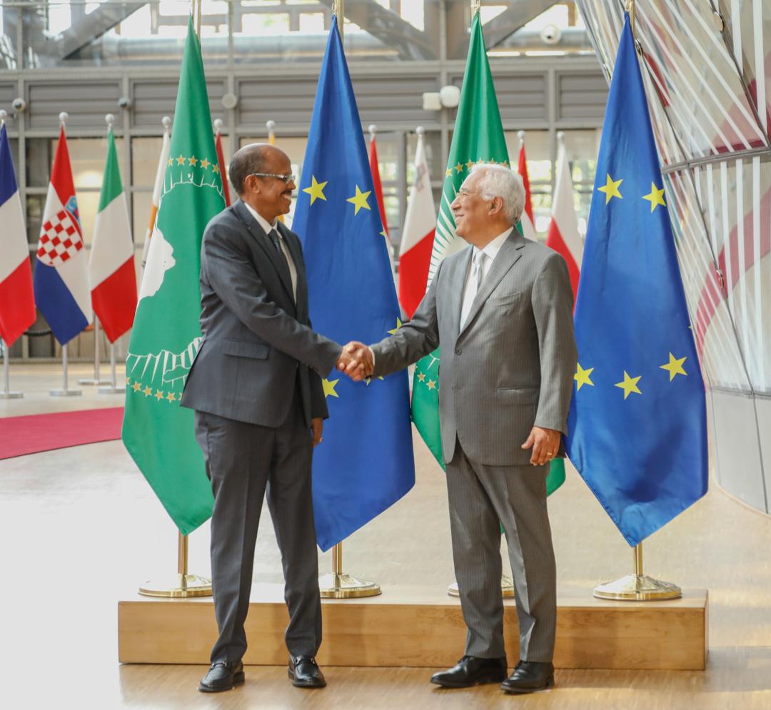 AUC Chairperson received by the President of the European Council