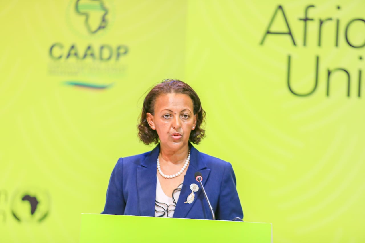 Intervention by H.E. Amb. Hirut Zemene, Permanent Representative of Ethiopia to the AU and UNECA at the Joint Ministerial Session of the CAADP Extraordinary Summit