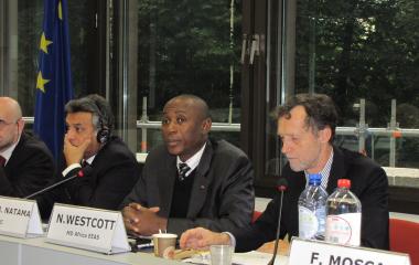 Brainstorming on the Future of the Africa-EU Partnership Meeting, Brussels, Belgium