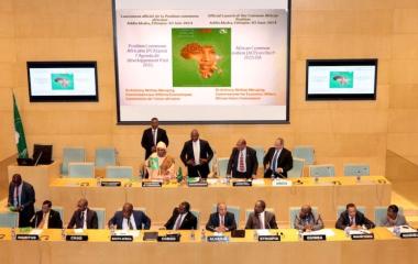 Common African Position (CAP) on the post 2015 Development Agenda launched