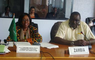 Retreat of The AUC Department of Rural Economy and Agriculture and The Chairs of The AU Member States’parliamentary Committees on Agriculture and Environment