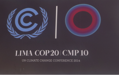 Africa Day at the 20th Conference of the Parties (COP20) to the United Nations Framework Convention on Climate Change (UNFCCC)