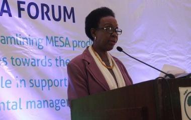 First Forum of the Monitoring for Environment and Security in Africa (MESA) Project in Nairobi, Kenya from 31 August to 4 September 2015