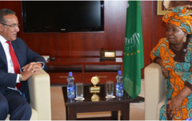Mining and commodities: Africa to speak and act as one