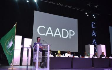 The 10th CAADP Partnership Platform Meeting