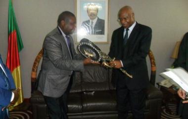 ECOSOCC Presiding Official on Working Visit to Cameroon.