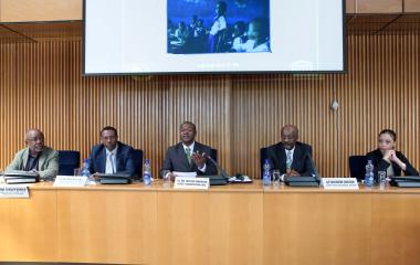 Expert meeting to prepare the Volume IX of the General History of Africa (GHA)