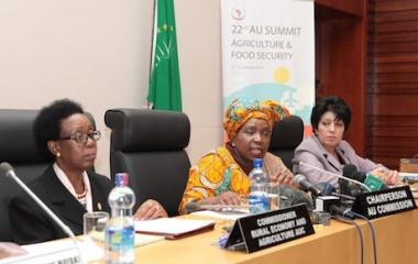 Press Briefing of H.E. Dr. Nkosazana Dlamini Zuma, AUC Chairperson