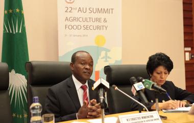 Press briefing of Deputy Chairperson of the AUC