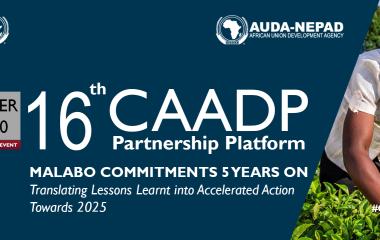  16th CAADP Partnership Platform