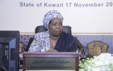 African and Arab Ministers Meet to Action Partnership in Development and Investment
