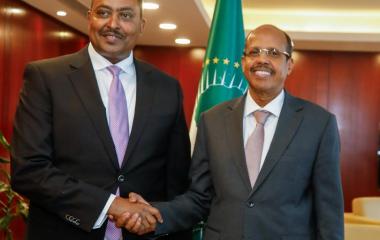AUC Chairperson receives H.E. Dr. Workineh, Executive Secretary of IGAD