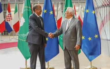 AUC Chairperson received by the President of the European Council
