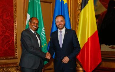 AUC Chairperson received by Deputy Prime Minister of Belgium