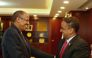 Chargé d’Affaires of the Embassy of the State of Eritrea paid a courtesy call on the AUC Chairperson