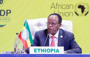 Opening Remarks by H.E. Taye Atske-Selassie, President of Ethiopia at the CAADP Extraordinary Summit