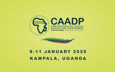 CAADP Extraordinary Summit 2025