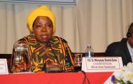 Seventh Conference of African Ministers in Charge of Integration (COMAI VII), Ezulwini, Swaziland