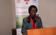 African Union Commemorates the Africa Environment Day and Wangari Maathai Day, Tunis, Republic of Tunisia, 3-4 March 2013