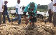 Celebrations of Africa Environment Day and Wangari Maathai Day