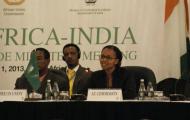Africa- India Ministers of Trade Meeting, Johannesburg, South Africa