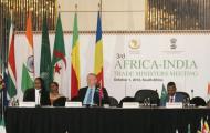 Africa- India Ministers of Trade Meeting, Johannesburg, South Africa