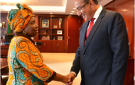 Mining and commodities: Africa to speak and act as one
