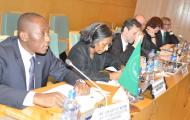 15th Joint Africa-EU Task Force Meeting, Addis Ababa, Ethiopia, 14 February 2013