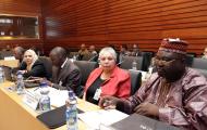 21st Session of the African Committee of Experts on the Rights and Welfare of the Child (ACERWC), Addis Ababa, Ethiopia, 15-19 April 2013
