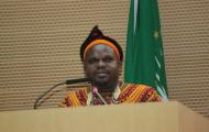 Comprehensive Africa Agriculture Development Programme (CAADP ) Partnership Platform (PP) to be held in Addis Ababa, Ethiopia from March 26-28, 2013.