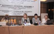 Orientation and Induction Meeting for Newly Elected members of the 2nd Permanent ECOSOCC General Assembly, Cairo, Egypt