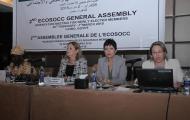 Orientation and Induction Meeting for Newly Elected members of the 2nd Permanent ECOSOCC General Assembly, Cairo, Egypt