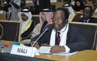 Donors' Conference on Mali, 29 January 2013 @9:00 EAT