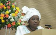 Commemoration of the 50th Anniversary of the OAU/AU- Opening and debate on the Pan Africanism and African Renaissance, 25 May 2013