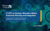 About the 4th STC on Finance Monetary Affairs, Economic Planning and Integration. The African Union Commission Specialised Technical Committees (STC) on Finance, Monetary Affairs, Economic Planning and Integration is the leading Conference for African ministers responsible for finance, economy, planning, integration and economic development, and central bank governors, to discuss matters about the development of Africa. This STC is also charged with following up on implementation of the integration agenda f