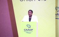 Experts Session of the CAADP Extraordinary Summit 2025, Kampala, Uganda