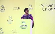 Joint Ministerial Session of the the CAADP Extraordinary Summit 2025, Kampala, Uganda