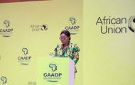 Joint Ministerial Session of the the CAADP Extraordinary Summit 2025, Kampala, Uganda