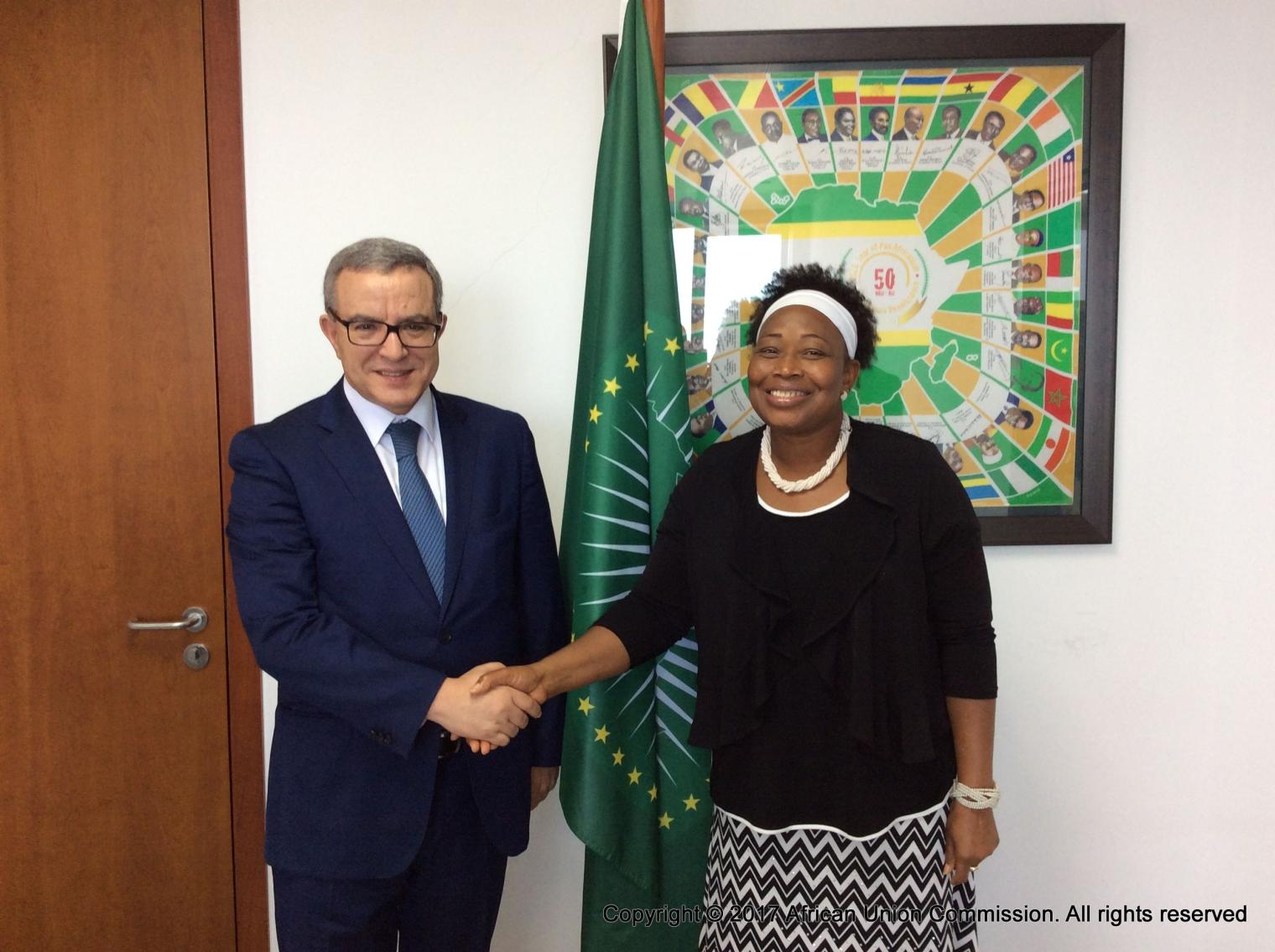 H.E. Mrs Minata Samate Cessouma, Commissioner for Political Affairs and ...