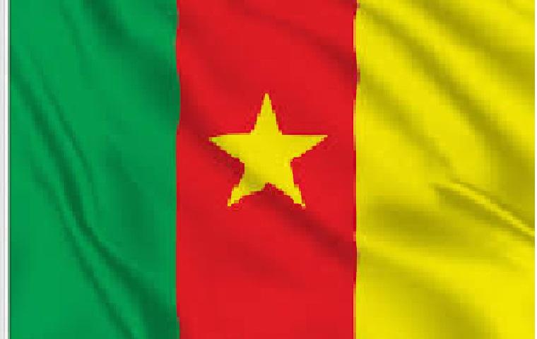 drapeau cameroun - Journal Intégration