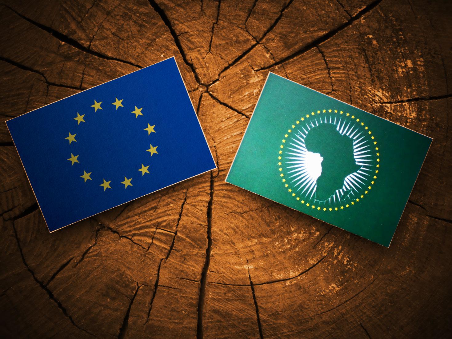 The European Union Supports Africa's COVID-19 Continental Response