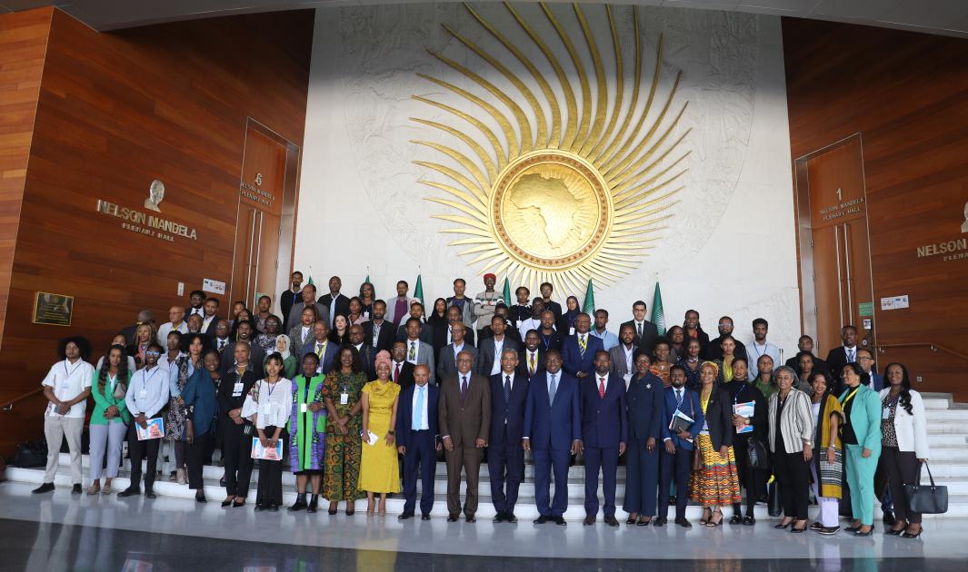 Accelerating the Implementation of the African Union Women and Youth Financial and Economic Inclusion Initiative Leveraging the Sokokuu Integrated Ecosystem